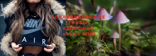 спайс Верея