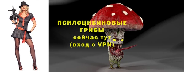мет Надым
