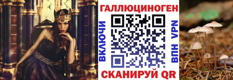 Псилоцибиновые грибы GOLDEN TEACHER  Балашиха 