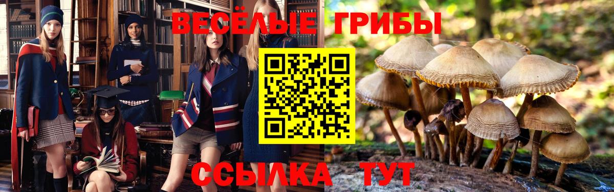 Псилоцибиновые грибы GOLDEN TEACHER  Вход с VPN  Балашиха 